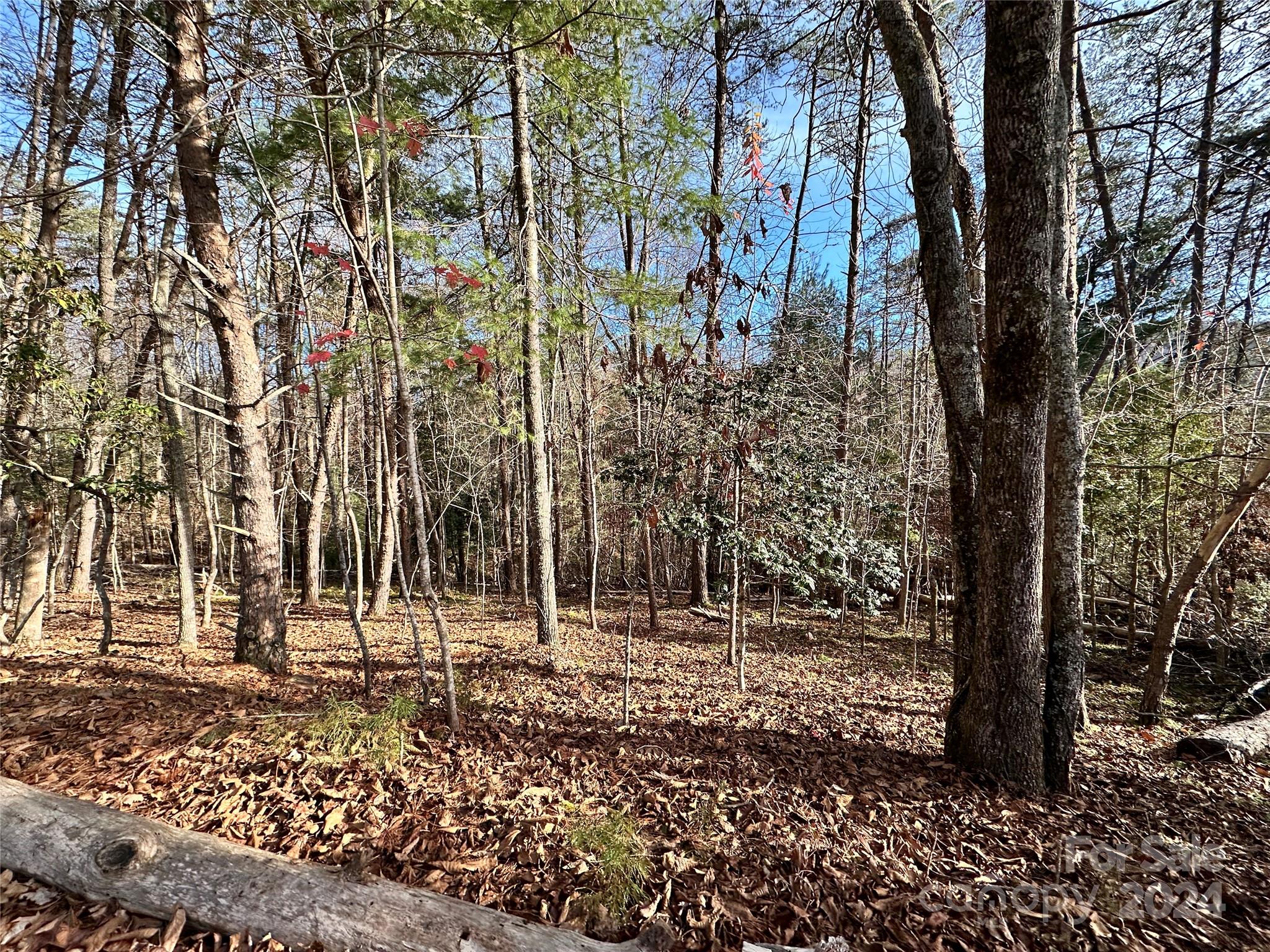 Tbd Burley Ridge Candler, NC 28715 - Photo 4 of 18 Gallery Image 4