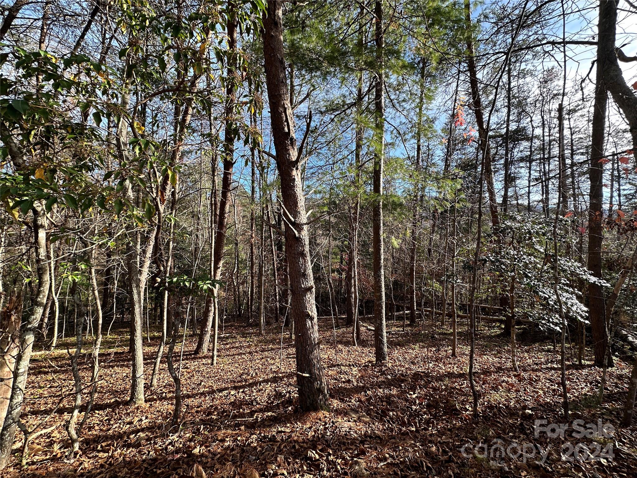 Tbd Burley Ridge Candler, NC 28715 - Photo 5 of 18 Gallery Image 5