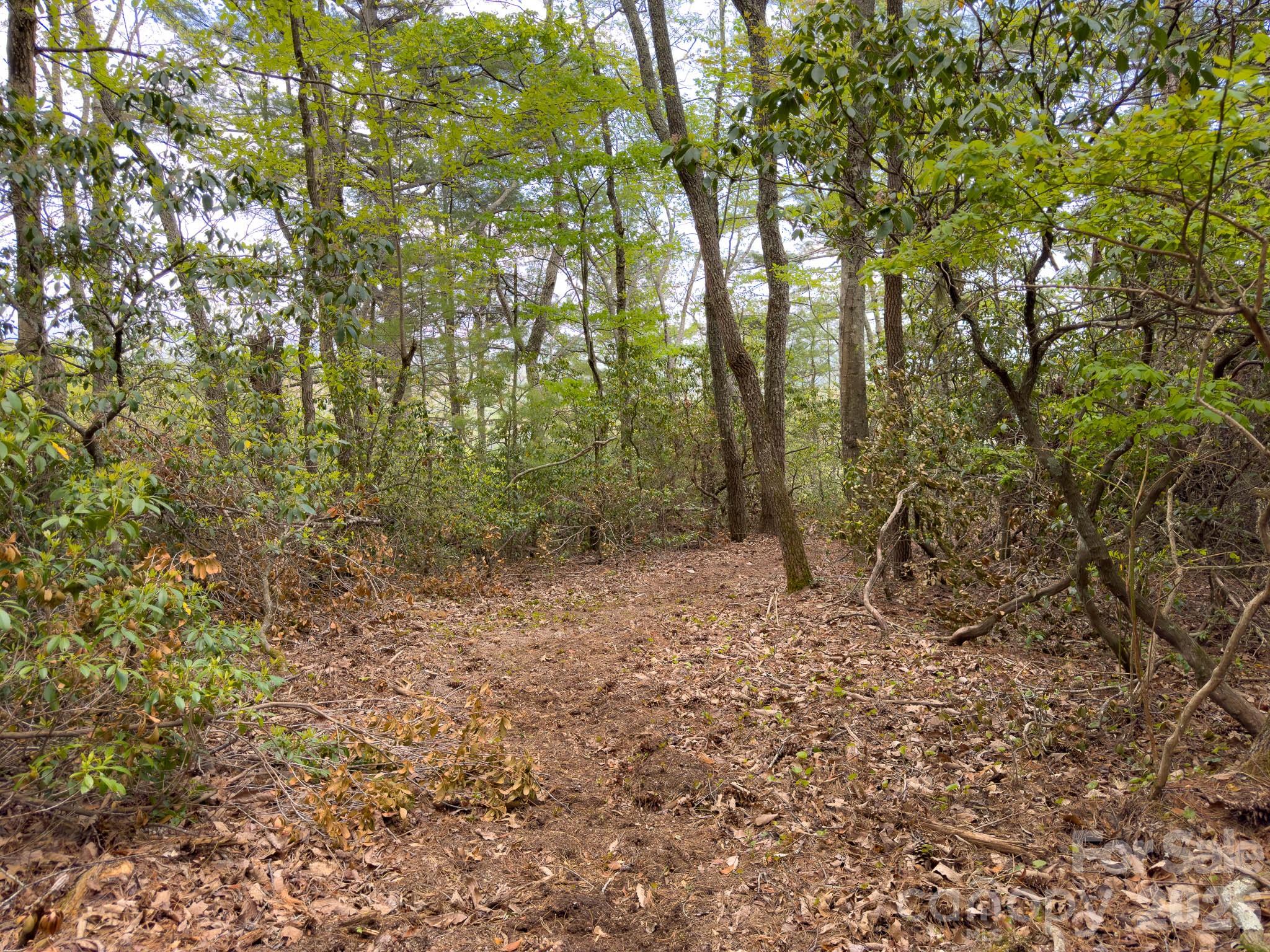 Tbd Pine Point Road Spruce Pine, NC 28777 - Photo 5 of 27