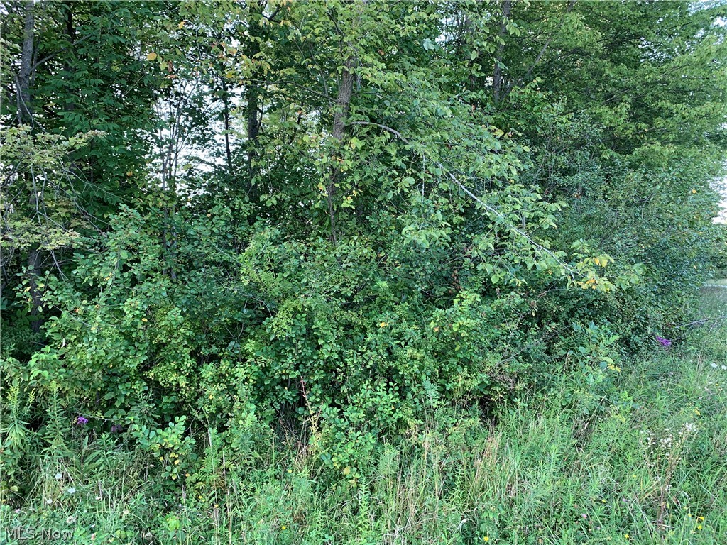 Arthur Road Jefferson, OH 44047 - Photo 2 of 26