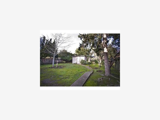 332 Dwight Road Burlingame, CA 94010 - Photo 9 of 9 a picture of a person on a field