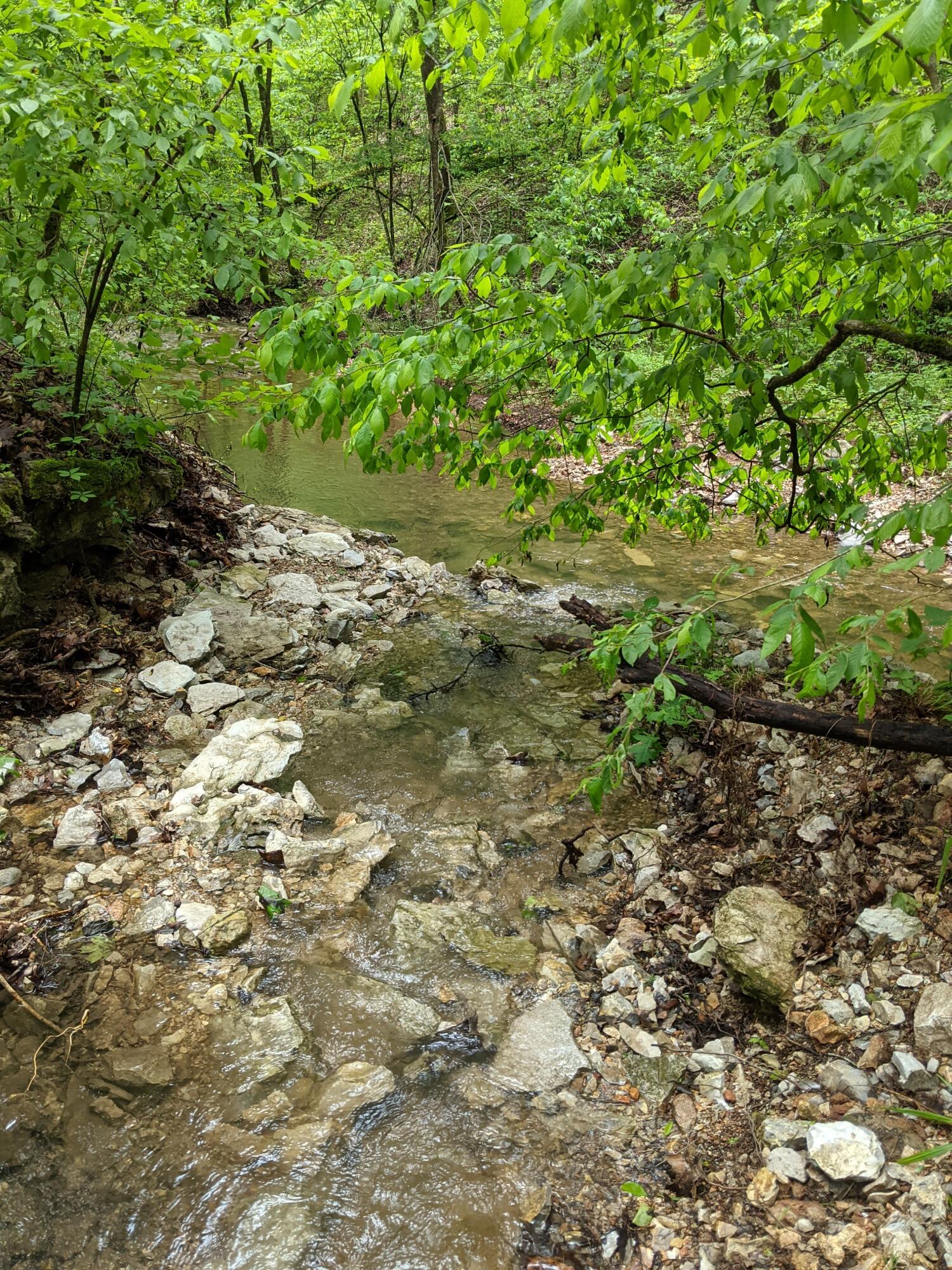0 Coyote Ridge Road Cassville, MO 65625 - Photo 15 of 36 PXL_20210522_181556140.MP