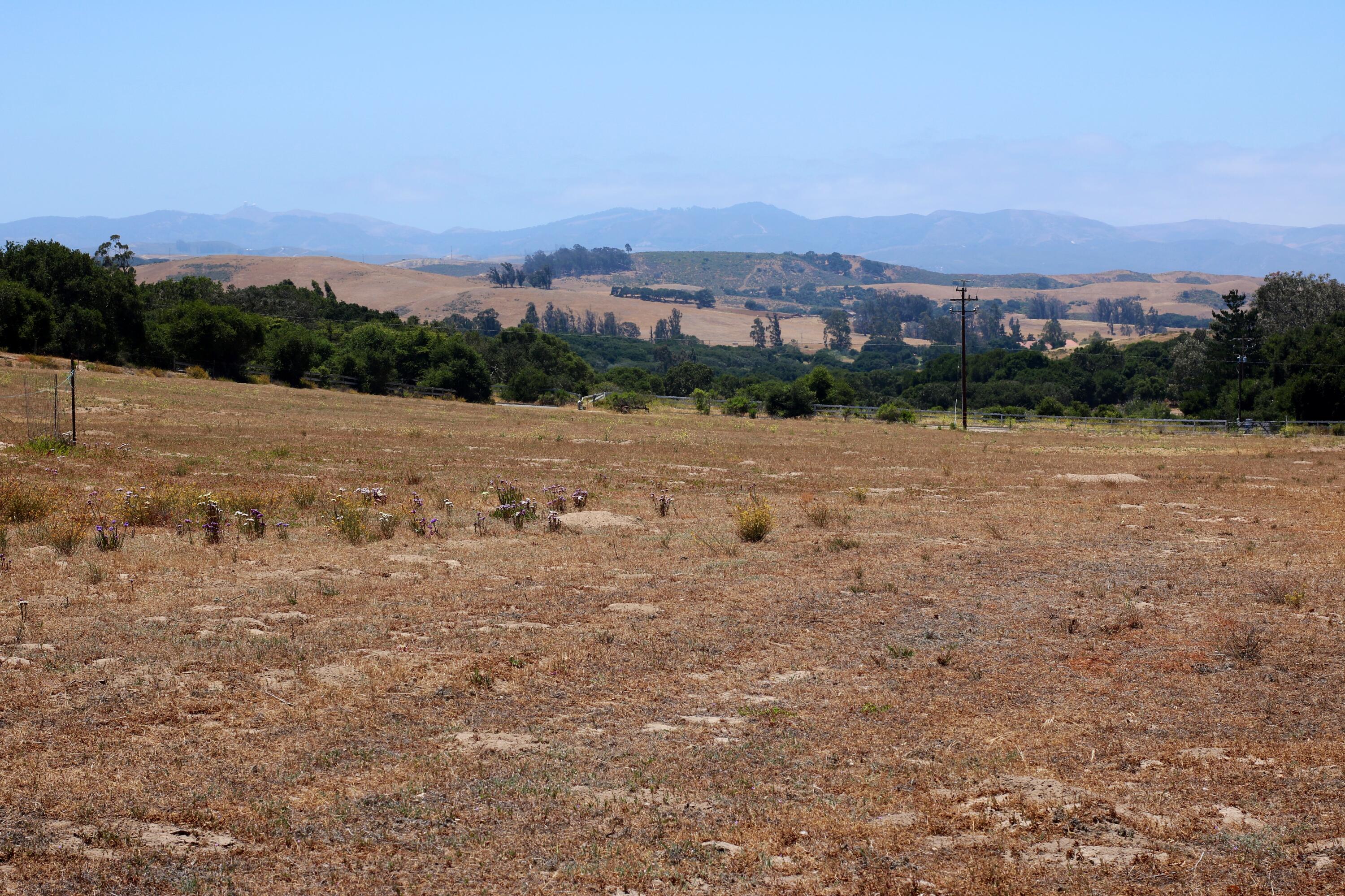 1990 Tularosa Road Lompoc, CA 93436 - Photo 24 of 36 Flat Land Slope