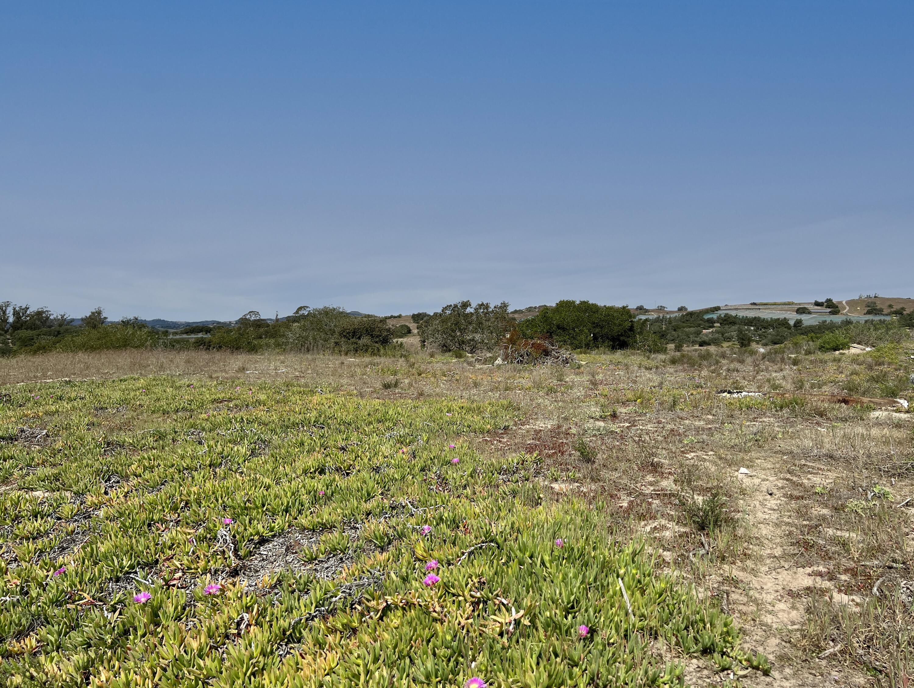 1990 Tularosa Road Lompoc, CA 93436 - Photo 4 of 36 Upper Flat Building Pad