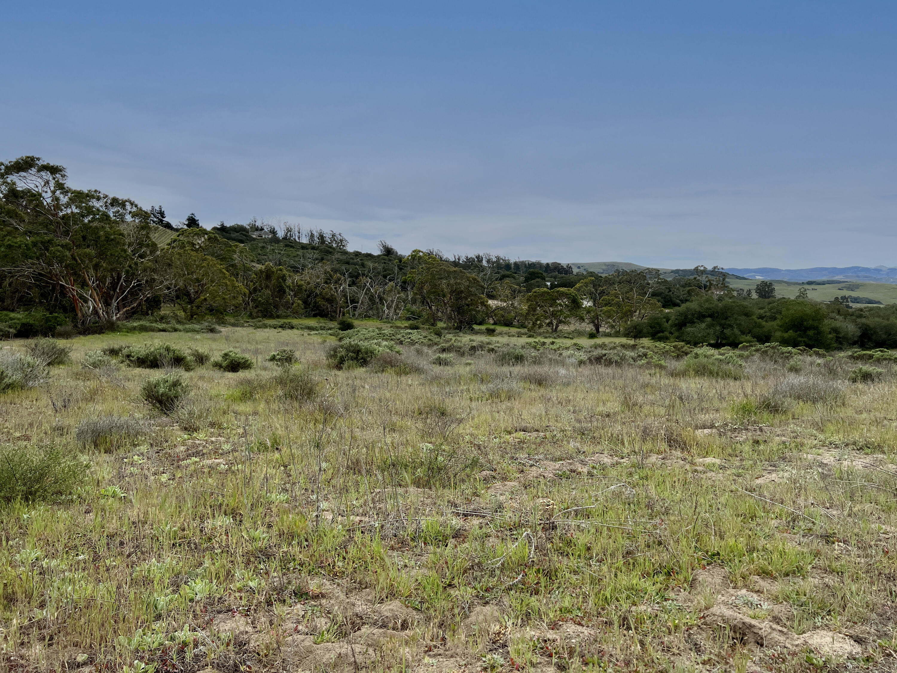 1990 Tularosa Road Lompoc, CA 93436 - Photo 8 of 36 Lower Flat Building Pad