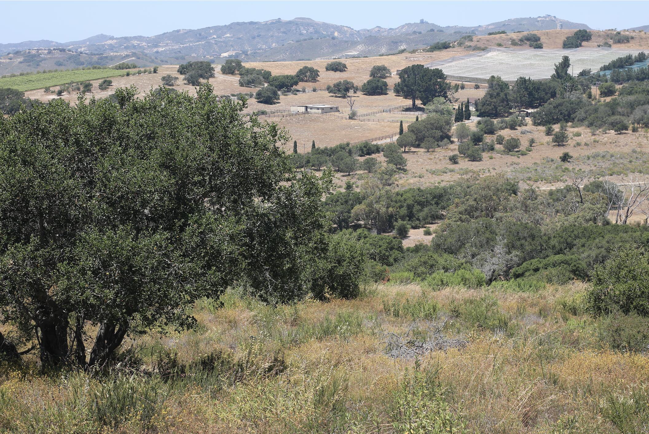 1990 Tularosa Road Lompoc, CA 93436 - Photo 9 of 36 View to West