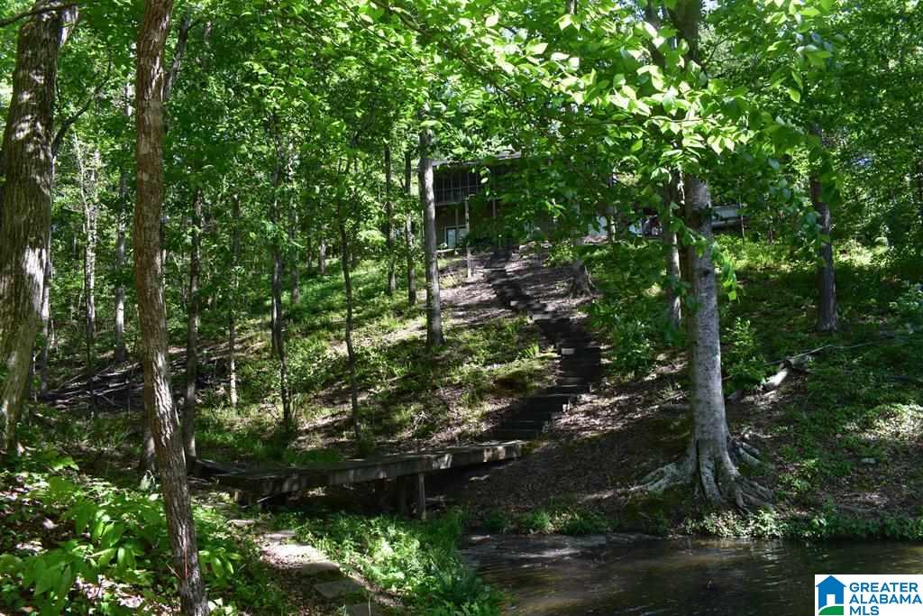 512 County Road 897 Wedowee, AL 36278 - Photo 18 of 22