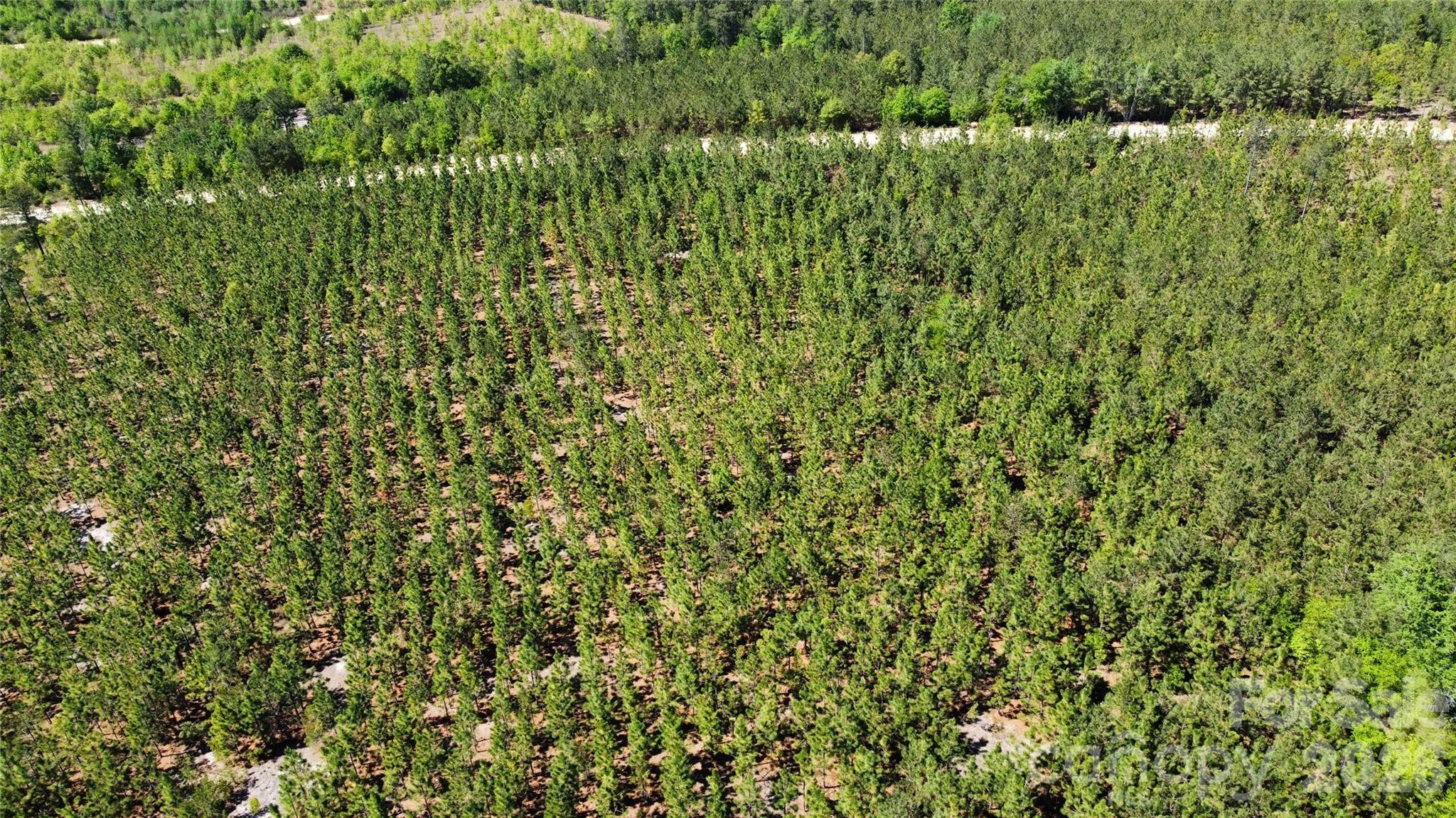 1045 McQueen Road Patrick, SC 29584 - Photo 5 of 32
