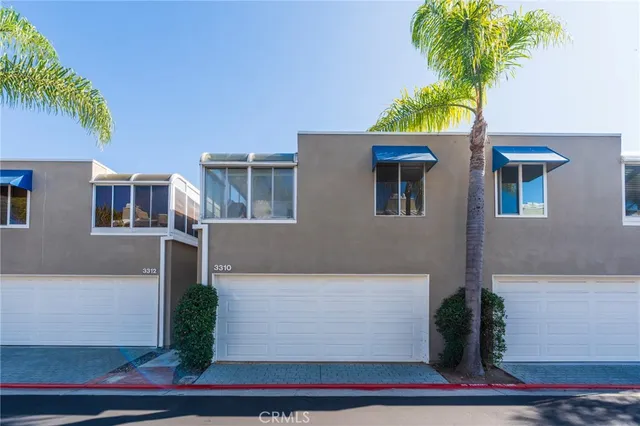 a view of a yard with plants and large trees