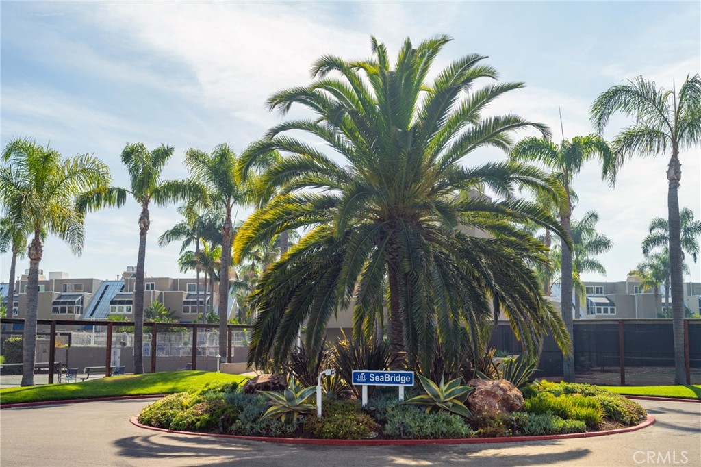 3310 Tempe Drive Huntington Beach, CA 92649 - Photo 40 of 52 a view of a backyard with a fountain plants and palm trees