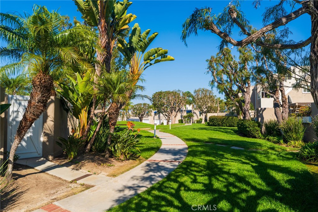 3310 Tempe Drive Huntington Beach, CA 92649 - Photo 42 of 52 a view of a yard with plants and trees