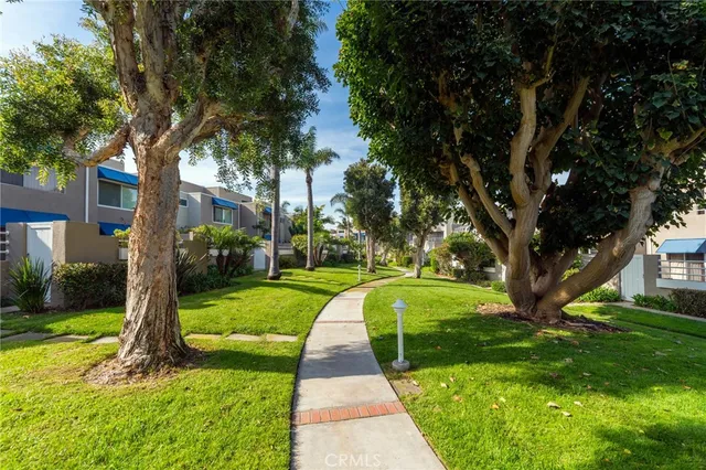 a view of a park with large trees