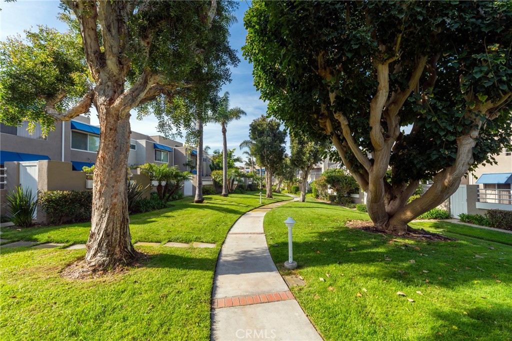3310 Tempe Drive Huntington Beach, CA 92649 - Photo 43 of 52 a view of a yard with plants and large trees
