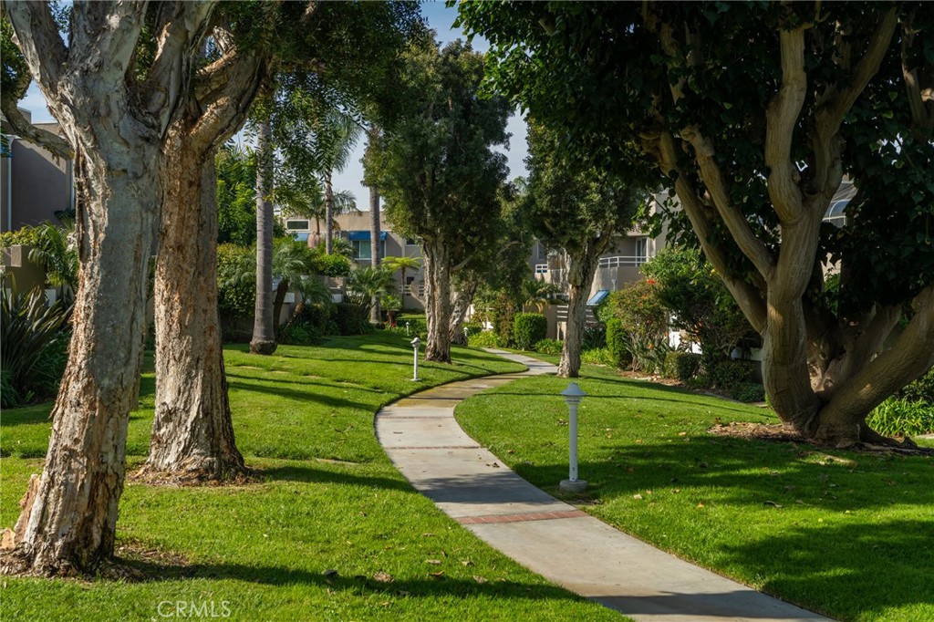 3310 Tempe Drive Huntington Beach, CA 92649 - Photo 48 of 52 a view of a park with large trees