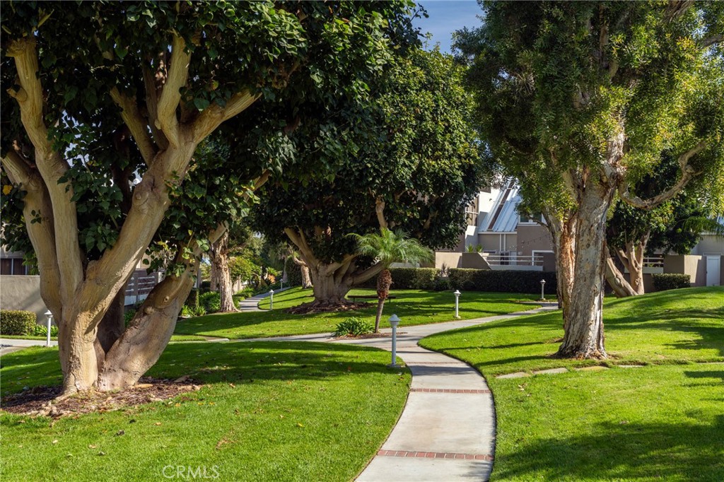 3310 Tempe Drive Huntington Beach, CA 92649 - Photo 49 of 52 a view of a park with large trees