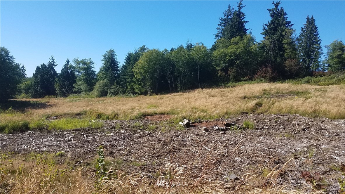 0 Lone Oak Road Longview, WA 98632 - Photo 1 of 3 Gallery Image 1