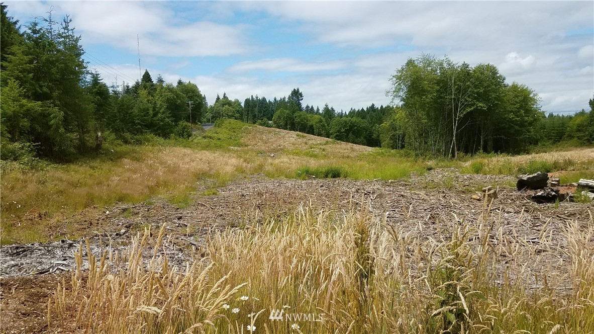 0 Lone Oak Road Longview, WA 98632 - Photo 2 of 3 Gallery Image 2