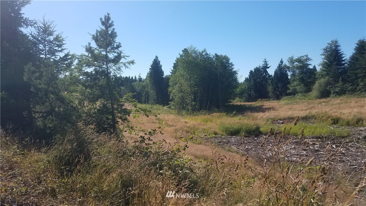 0 Lone Oak Road Longview, WA 98632 - Photo 3 of 3 Gallery Image 3
