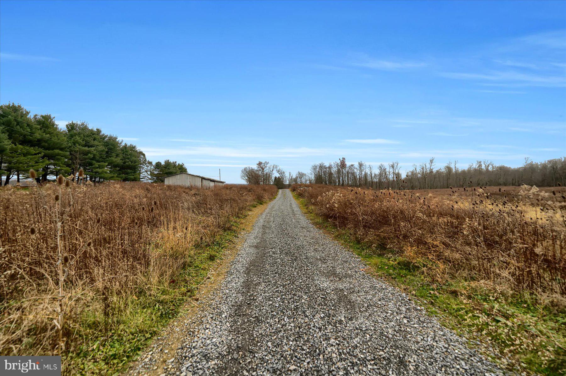 786 Dry Hollow Road Warriors Mark, PA 16877 - Photo 5 of 10