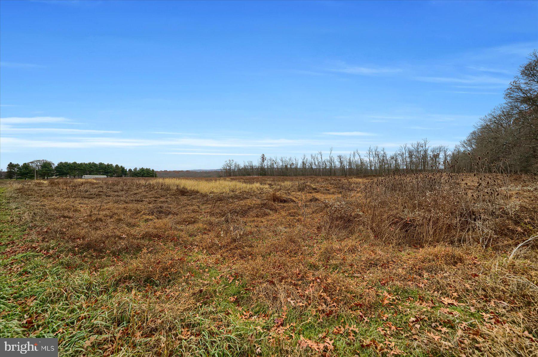 786 Dry Hollow Road Warriors Mark, PA 16877 - Photo 7 of 10