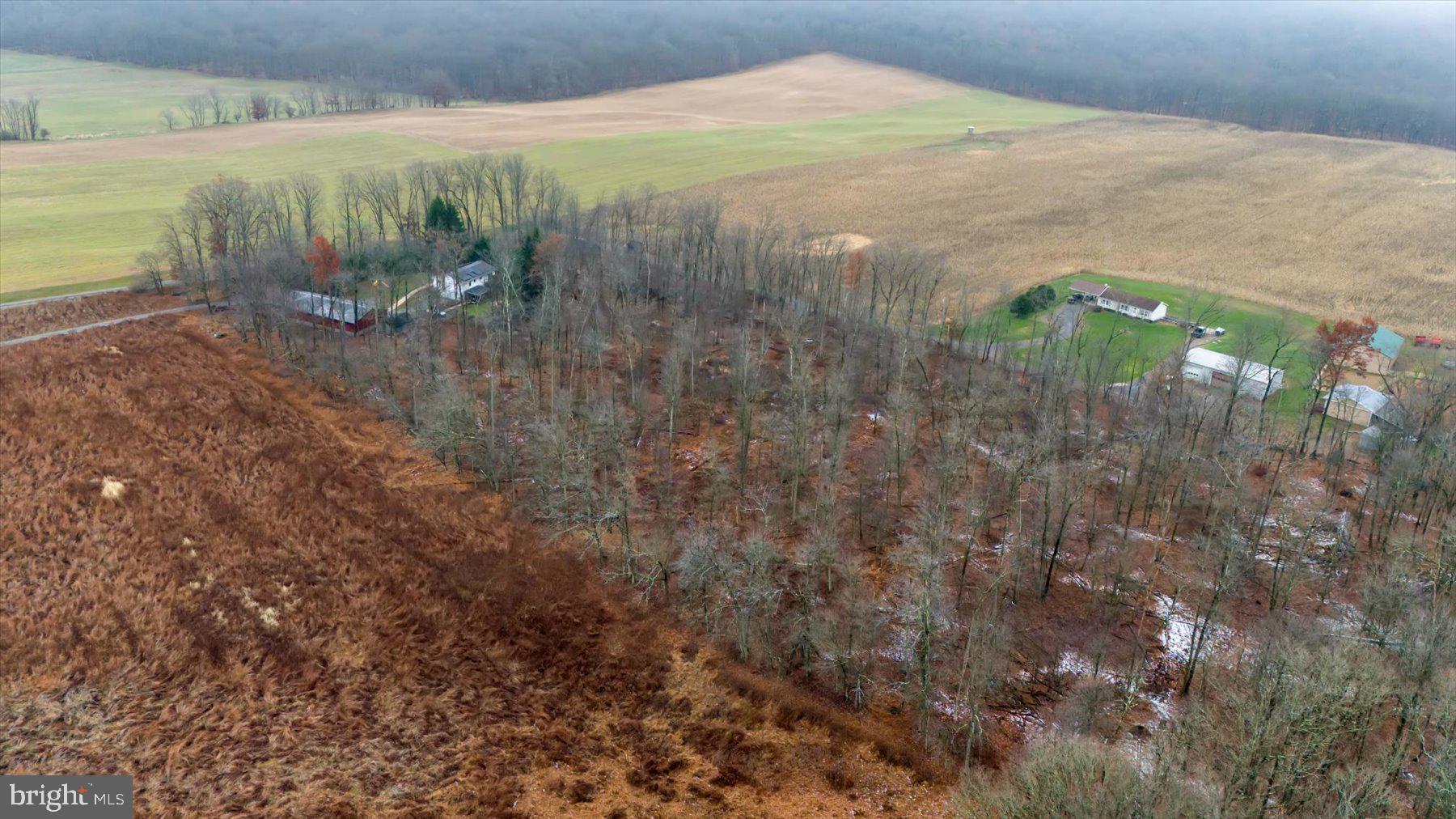 786 Dry Hollow Road Warriors Mark, PA 16877 - Photo 8 of 10