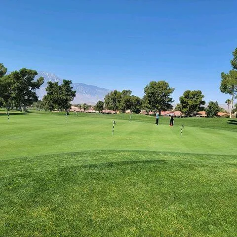 a view of a grassy field with trees