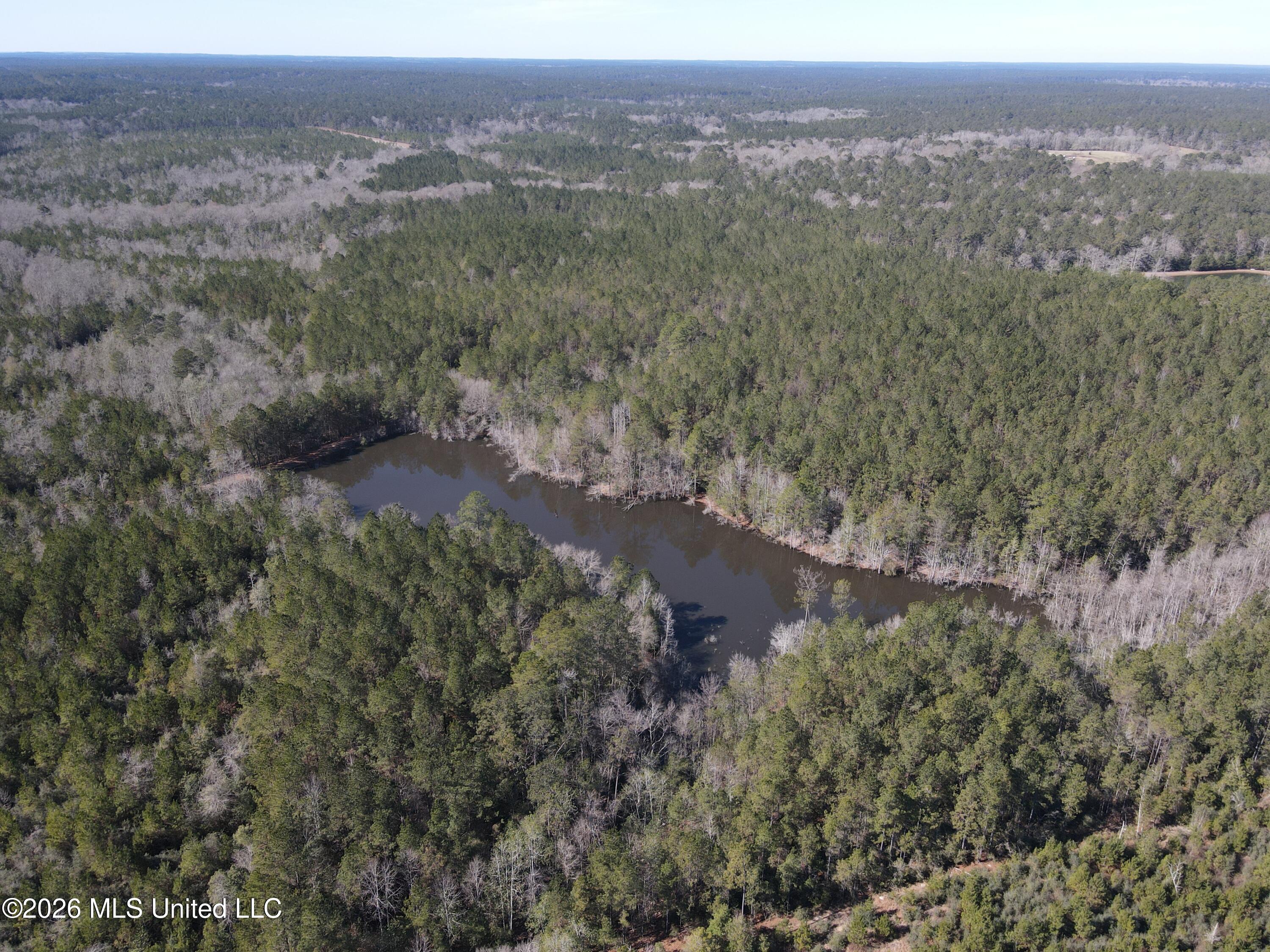 42 Mississippi State Line, MS 39362 - Photo 69 of 87 Photo Jan 27 2026, 11 51 48 AM