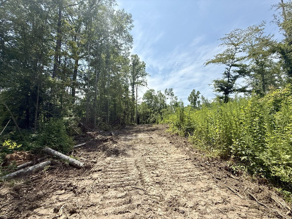 0 King Road Wesson, MS 39191 - Photo 11 of 35 Photo 11