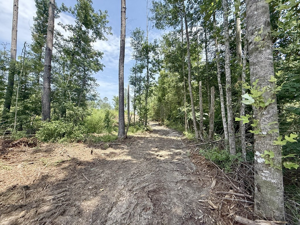 0 King Road Wesson, MS 39191 - Photo 12 of 35 Photo 12