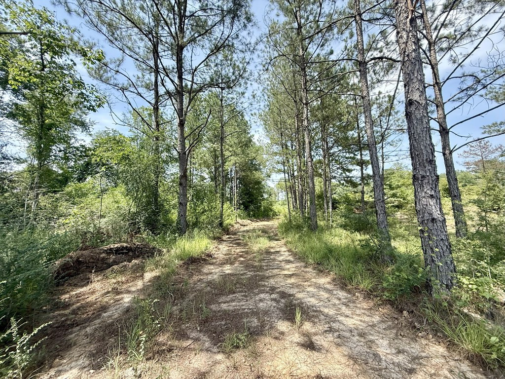 0 King Road Wesson, MS 39191 - Photo 13 of 35 Photo 13