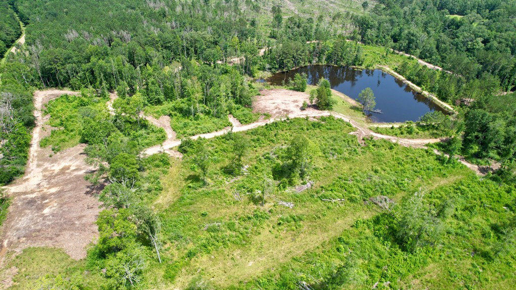 0 King Road Wesson, MS 39191 - Photo 16 of 35 Photo 16