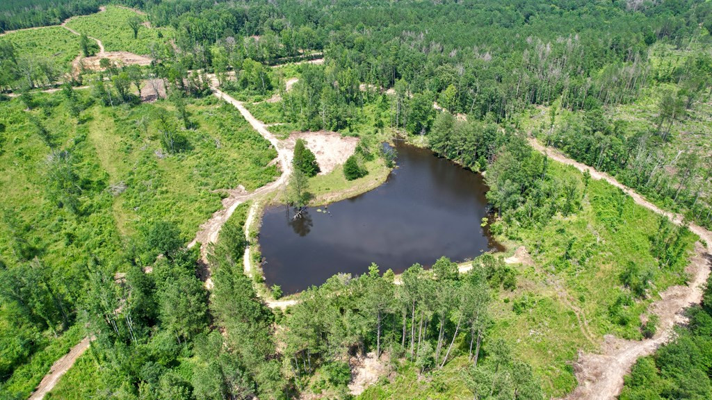 0 King Road Wesson, MS 39191 - Photo 17 of 35 Photo 17