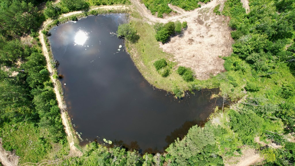 0 King Road Wesson, MS 39191 - Photo 19 of 35 Photo 19