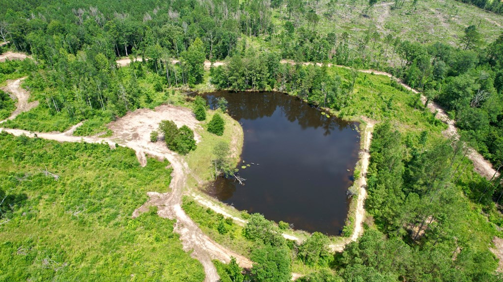 0 King Road Wesson, MS 39191 - Photo 20 of 35 Photo 20