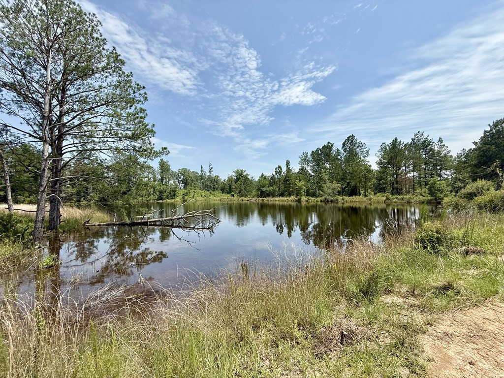 0 King Road Wesson, MS 39191 - Photo 21 of 35 Photo 21