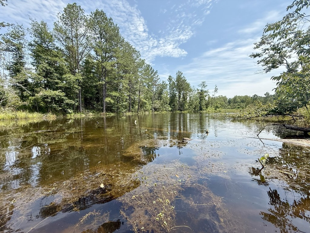 0 King Road Wesson, MS 39191 - Photo 22 of 35 Photo 22