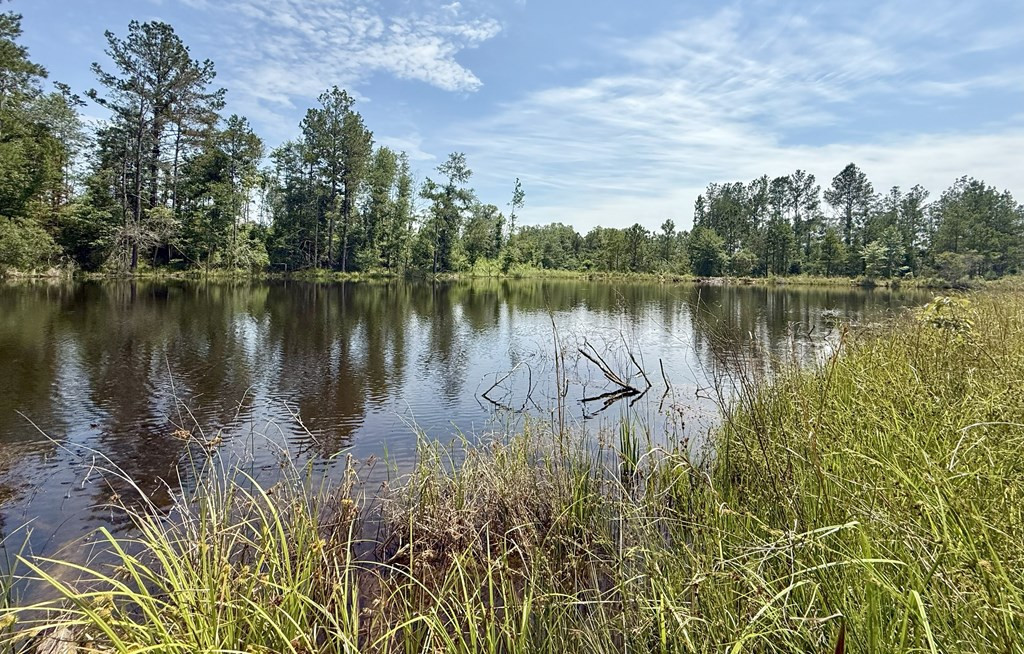 0 King Road Wesson, MS 39191 - Photo 23 of 35 Photo 23