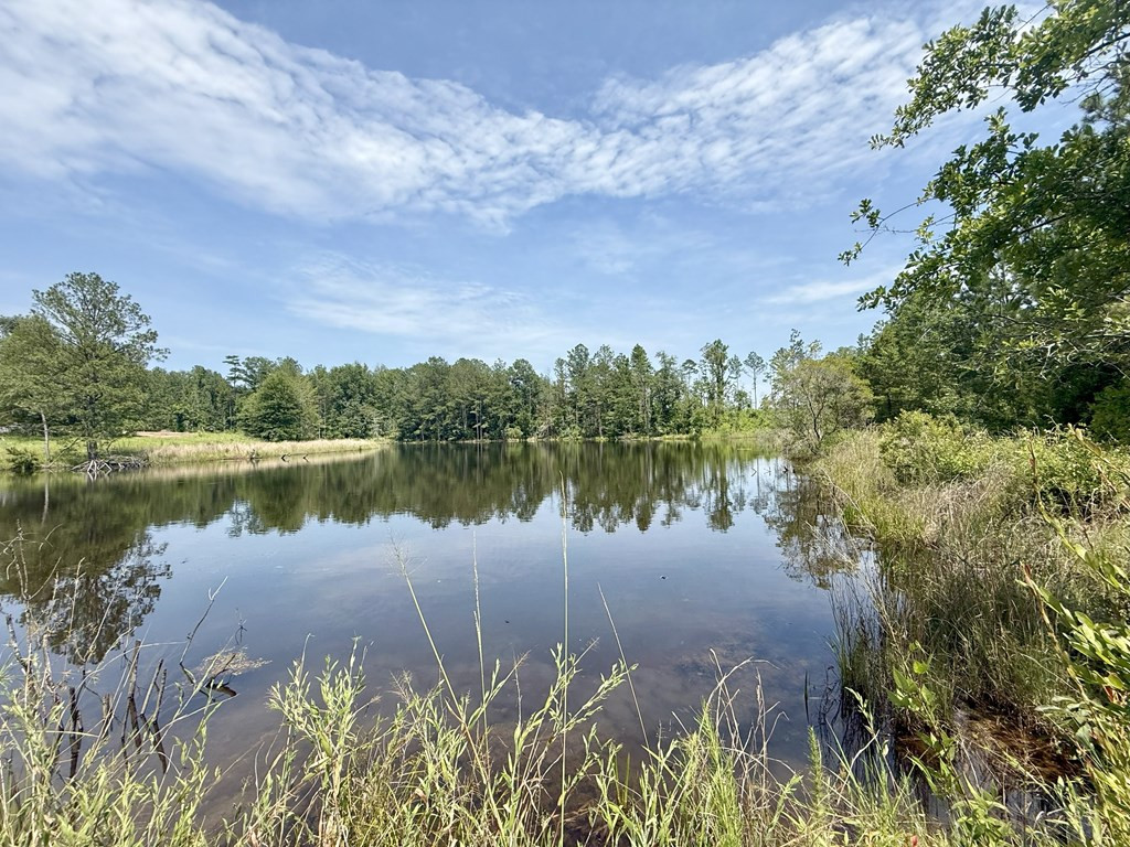 0 King Road Wesson, MS 39191 - Photo 24 of 35 Photo 24