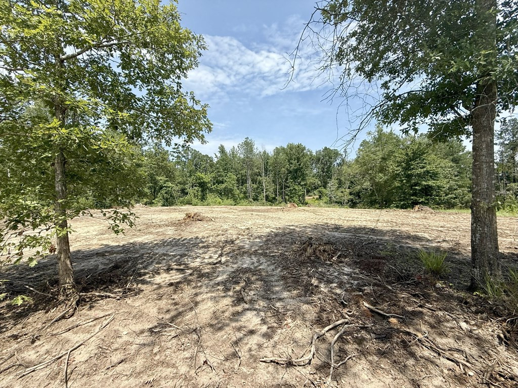 0 King Road Wesson, MS 39191 - Photo 3 of 35 Photo 3