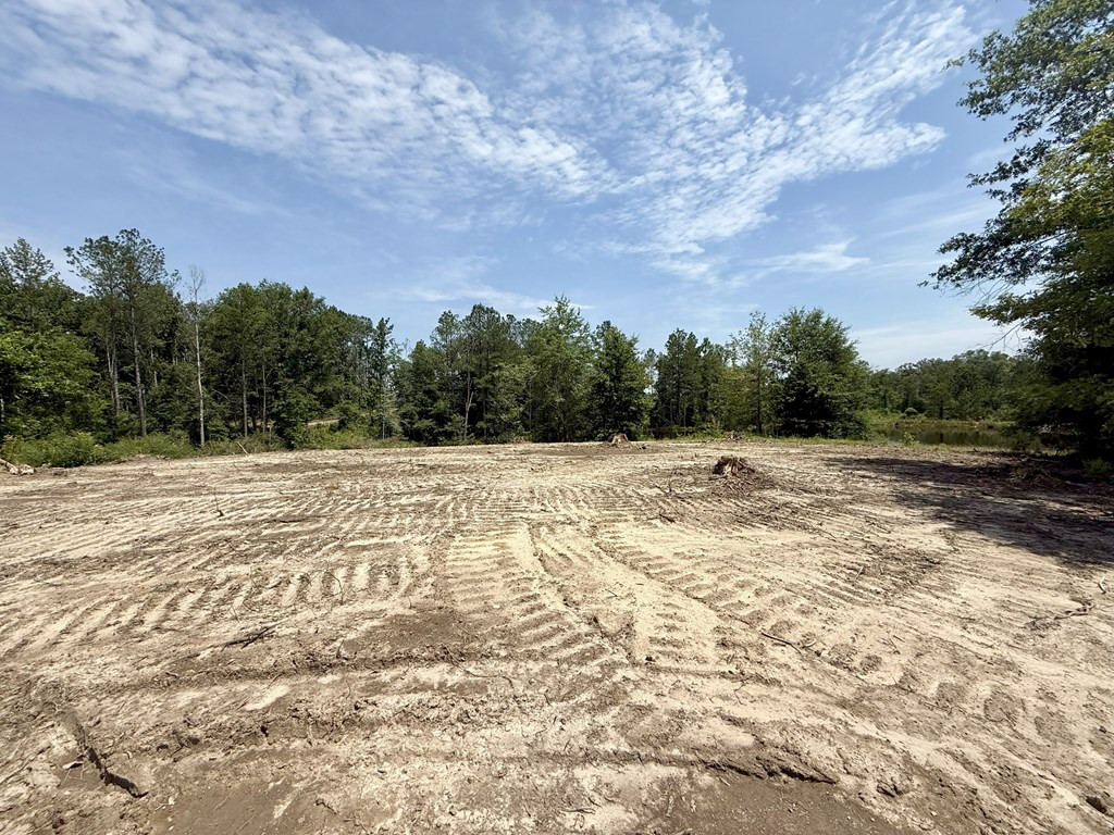 0 King Road Wesson, MS 39191 - Photo 4 of 35 Photo 4