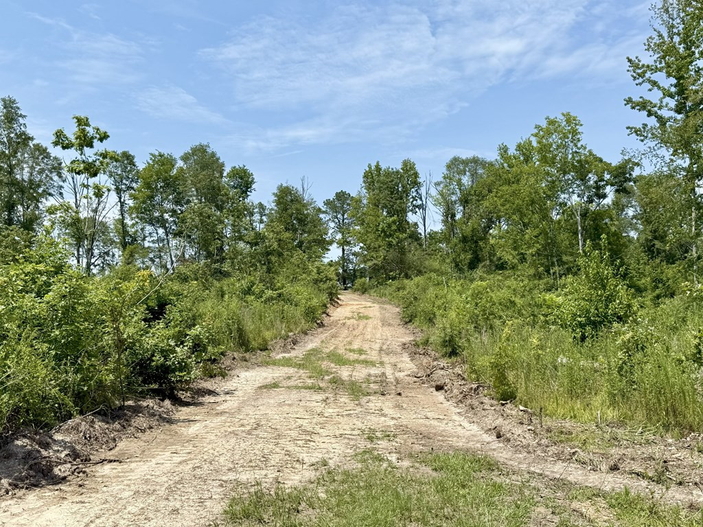 0 King Road Wesson, MS 39191 - Photo 5 of 35 Photo 5