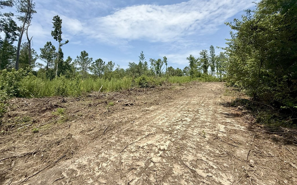 0 King Road Wesson, MS 39191 - Photo 6 of 35 Photo 6