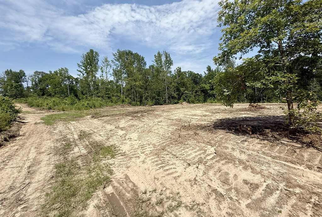 0 King Road Wesson, MS 39191 - Photo 7 of 35 Photo 7