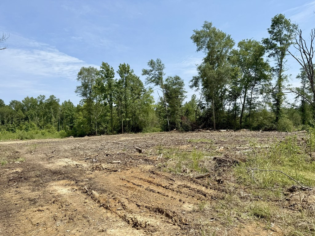 0 King Road Wesson, MS 39191 - Photo 8 of 35 Photo 8