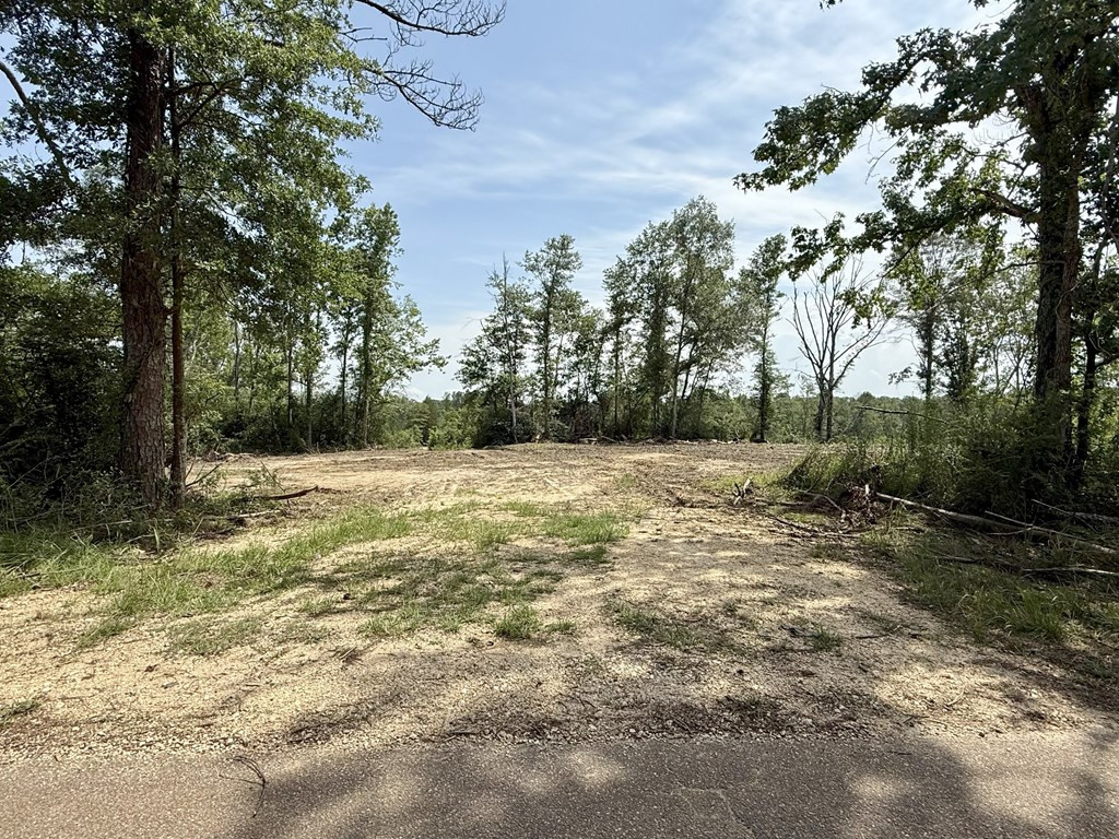 0 King Road Wesson, MS 39191 - Photo 9 of 35 Photo 9