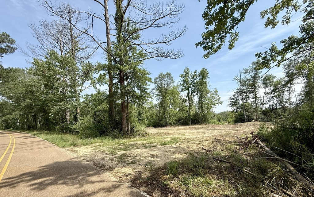 0 King Road Wesson, MS 39191 - Photo 10 of 35 Photo 10