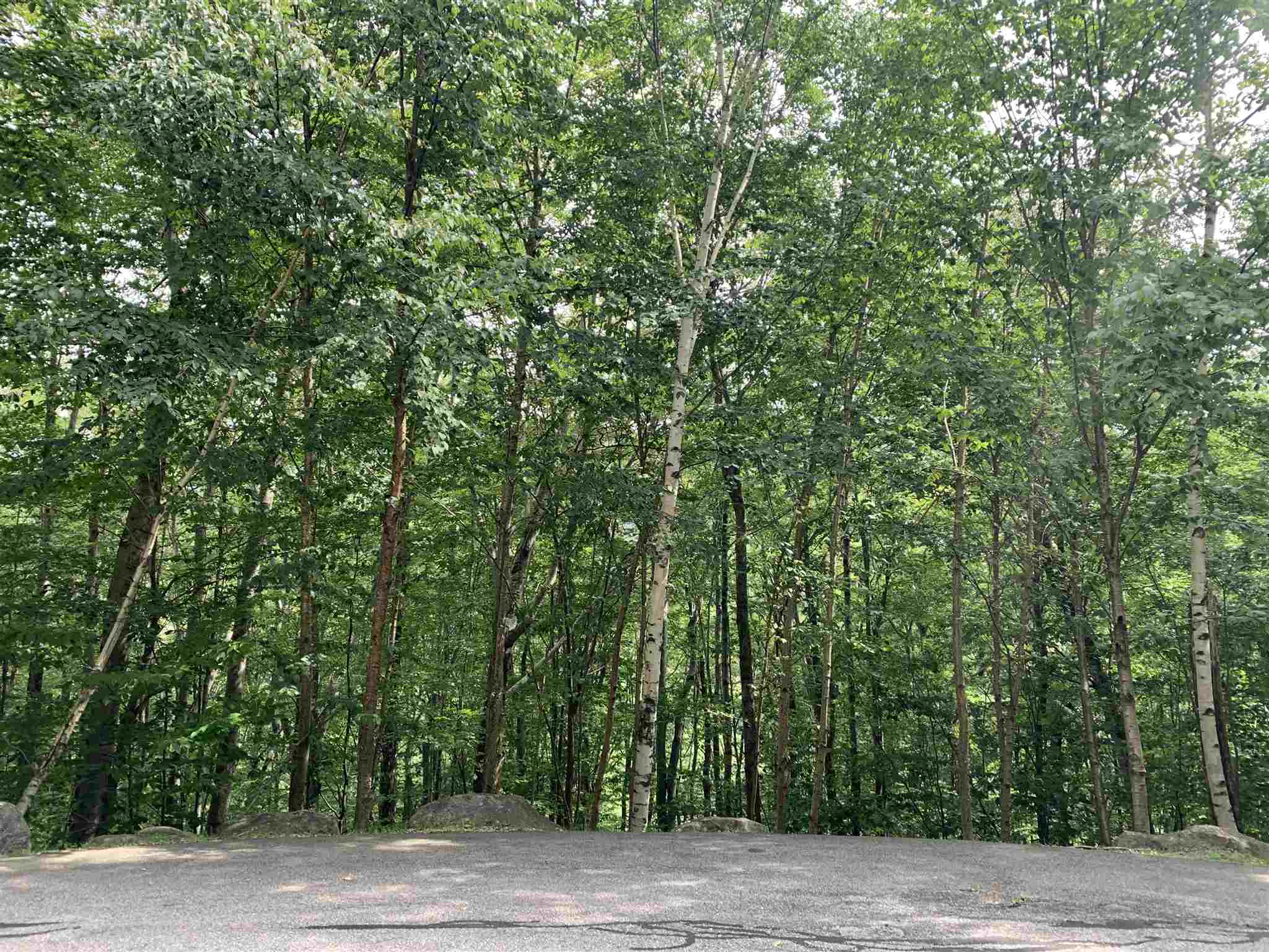 108 Flume Road Lincoln, NH 03251 - Photo 1 of 3 Gallery Image 1