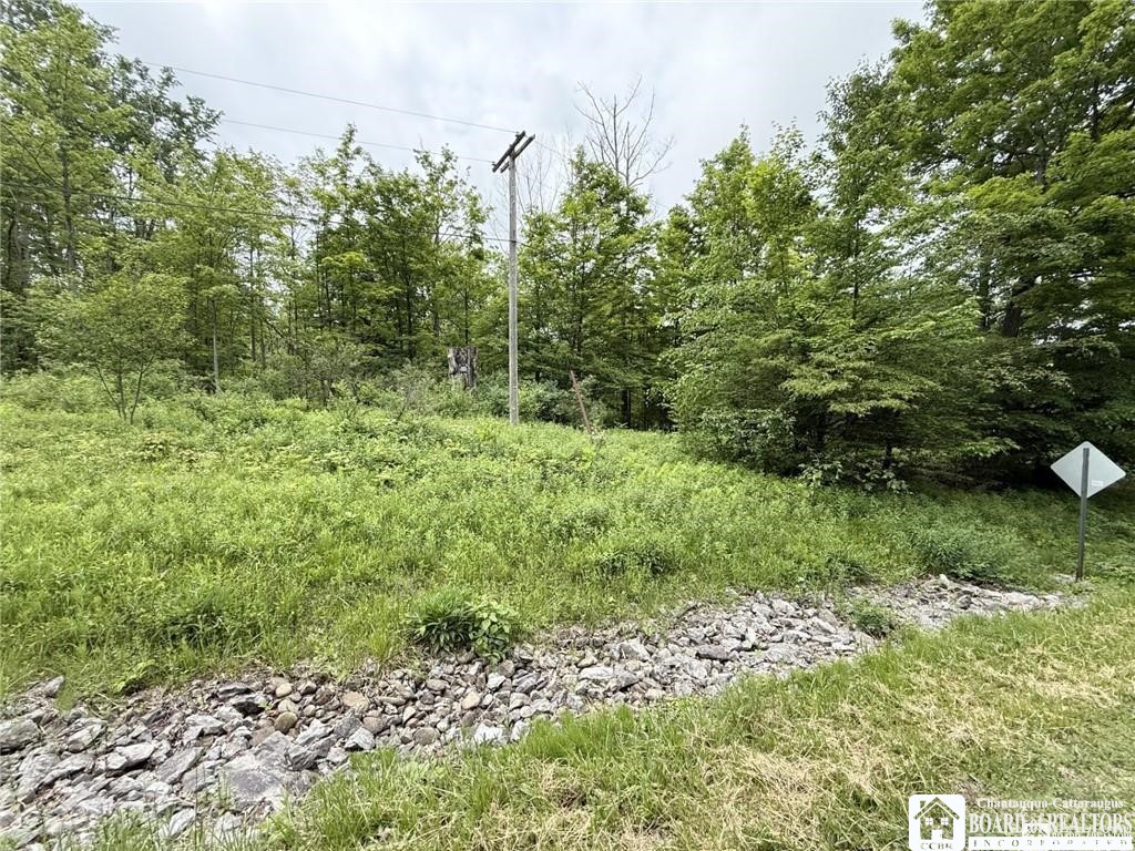 0 Luce Road Bemus Point, NY 14712 - Photo 12 of 39