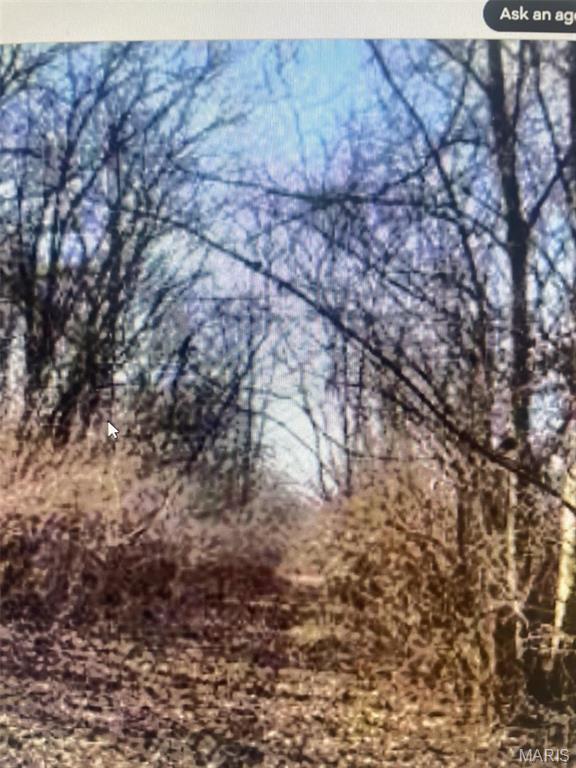 5780 St Road High Ridge, MO 63049 - Photo 2 of 2