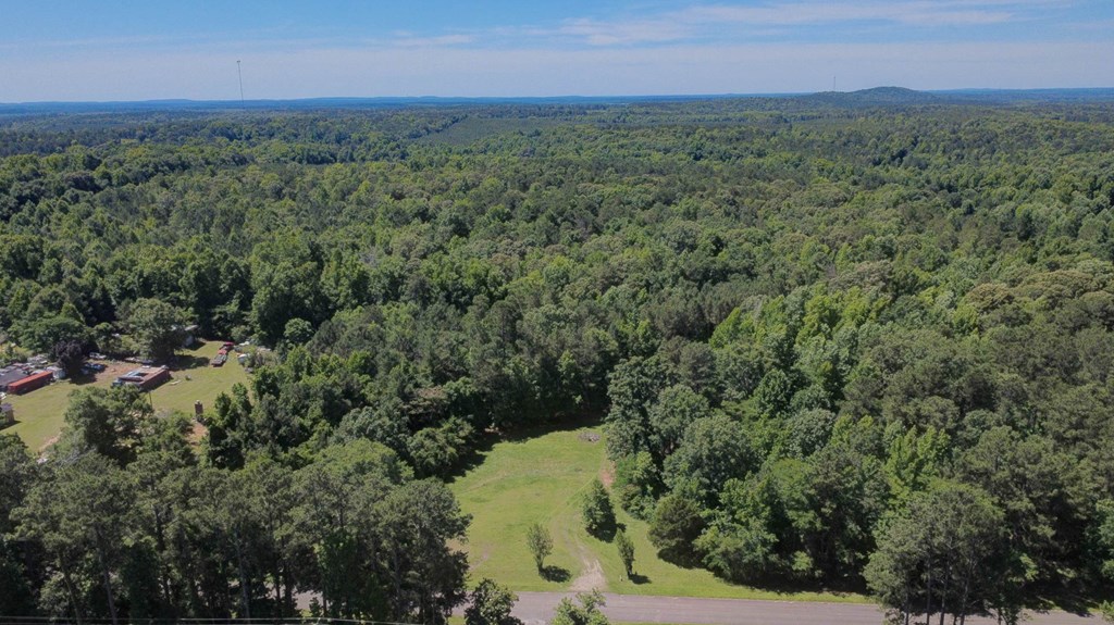 231 Lower Lovelace Road West Point, GA 31833 - Photo 12 of 49